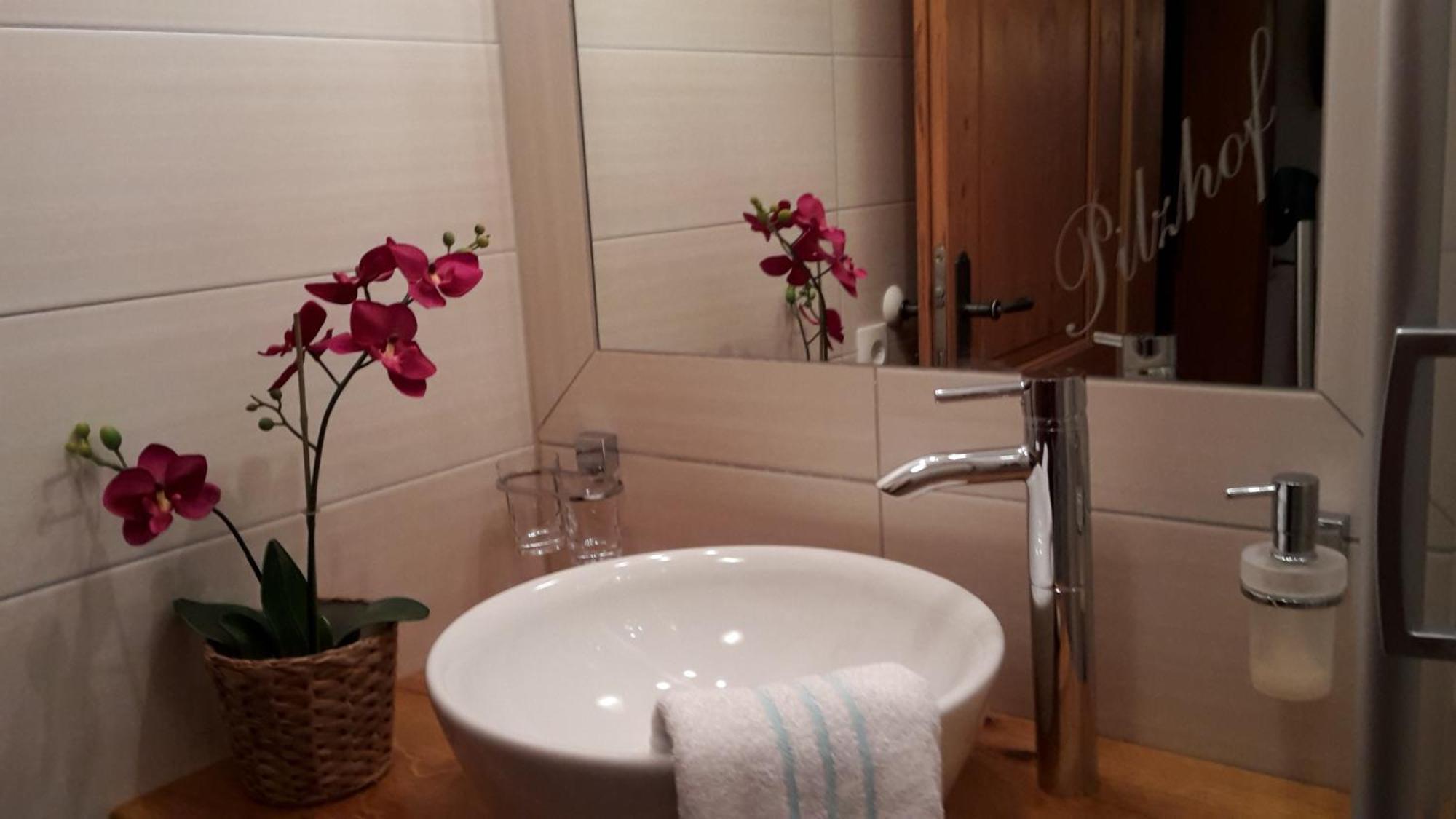 Appartement Pilzhof Filzmoos Buitenkant foto