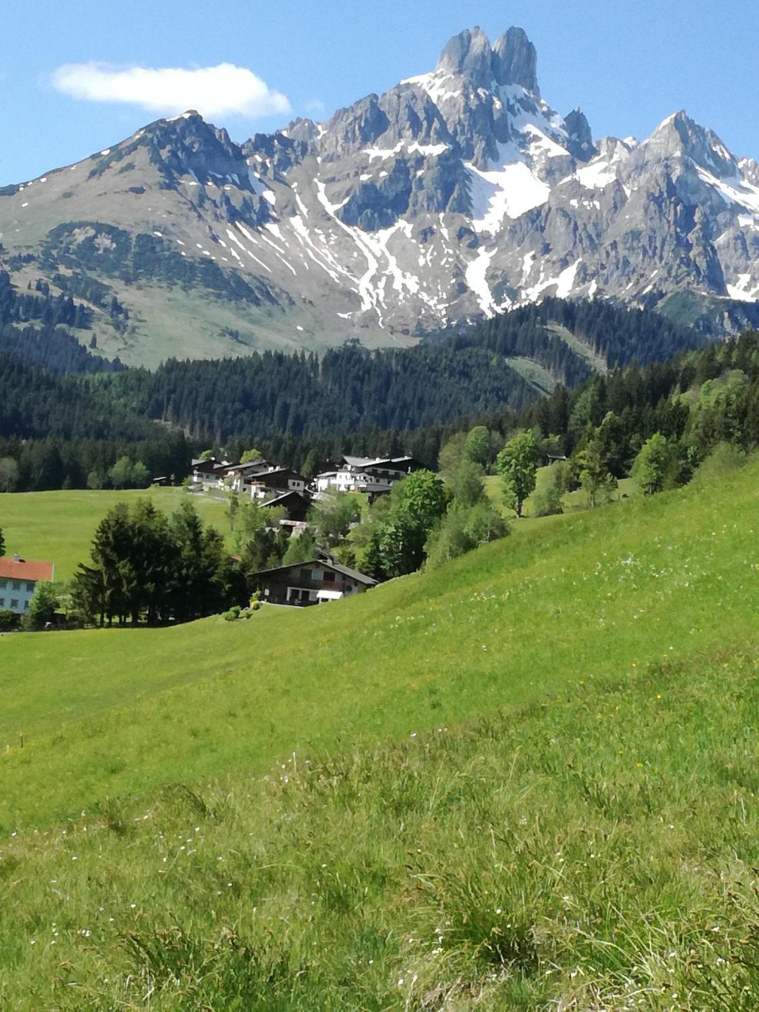 Appartement Pilzhof Filzmoos Buitenkant foto